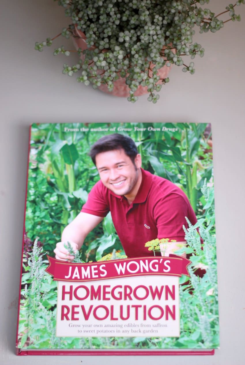 james wong homegrown revolutions