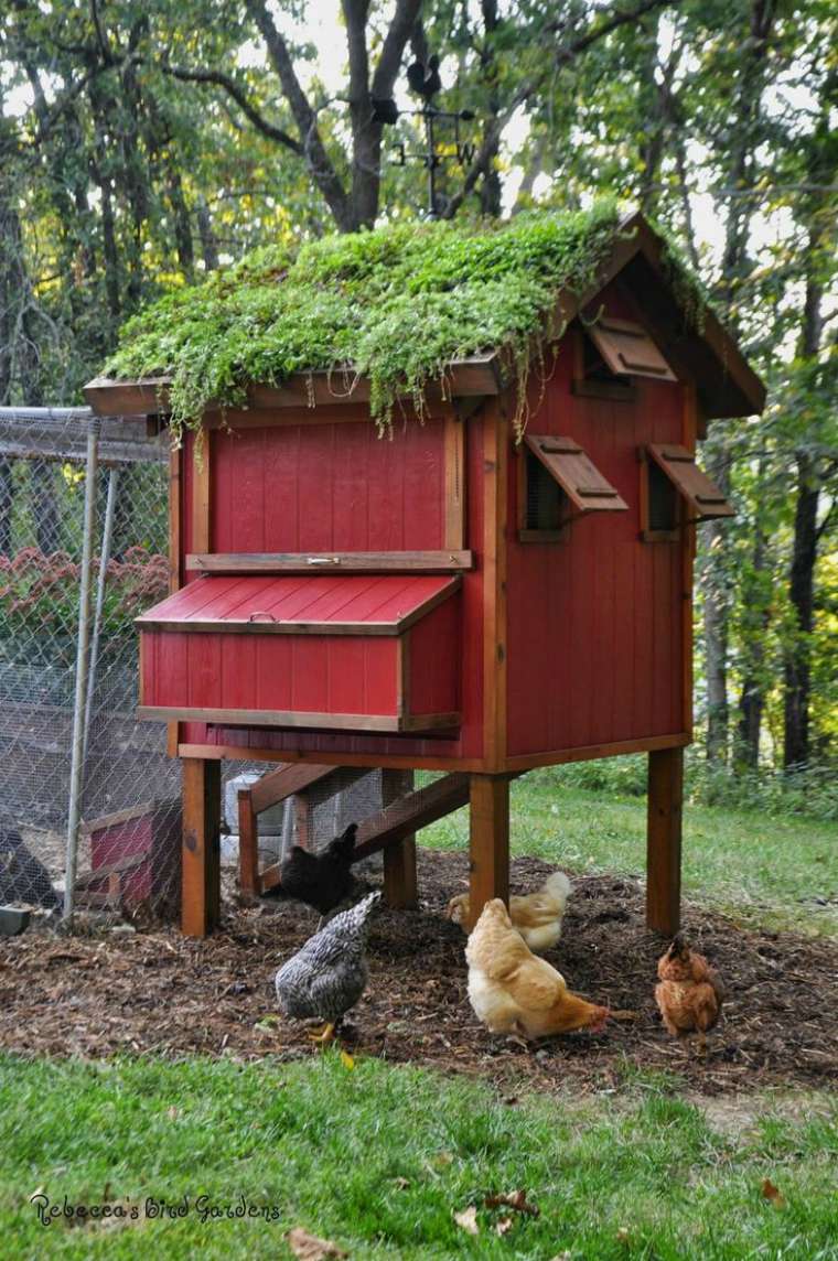 green roof chicken coop