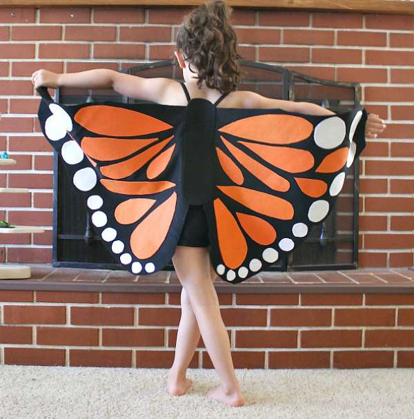 butterfly wings diy