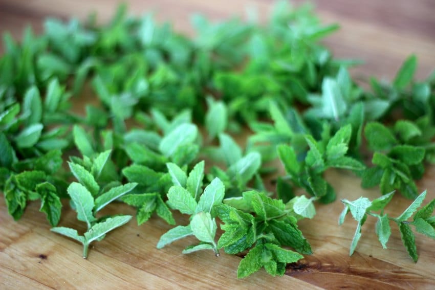 how to dry mint leaves for tea