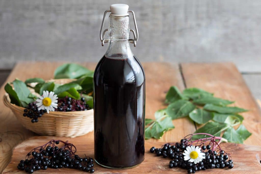 homemade elderberry syrup recipe