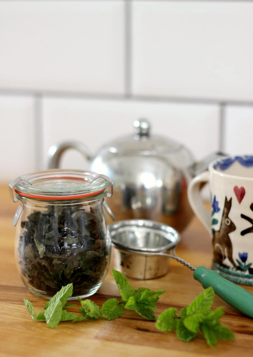 How To Dry Mint Leaves for Tea