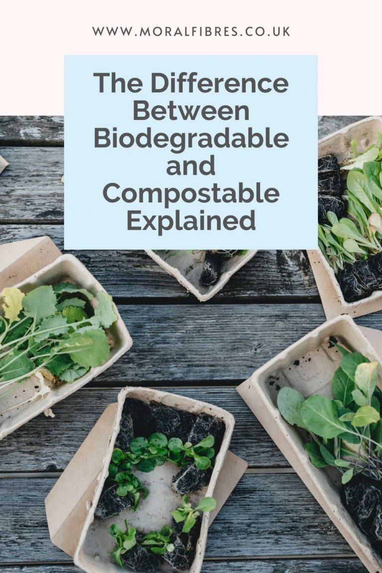 Moral Fibres UK Eco Green Blog Page 10 Of 326 Sustainable Living