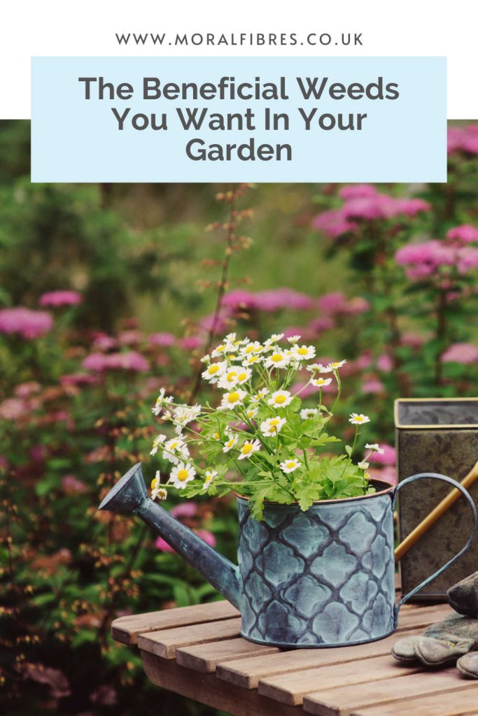 A garden planter with a blue text box that says the beneficial weeds you want in your garden.
