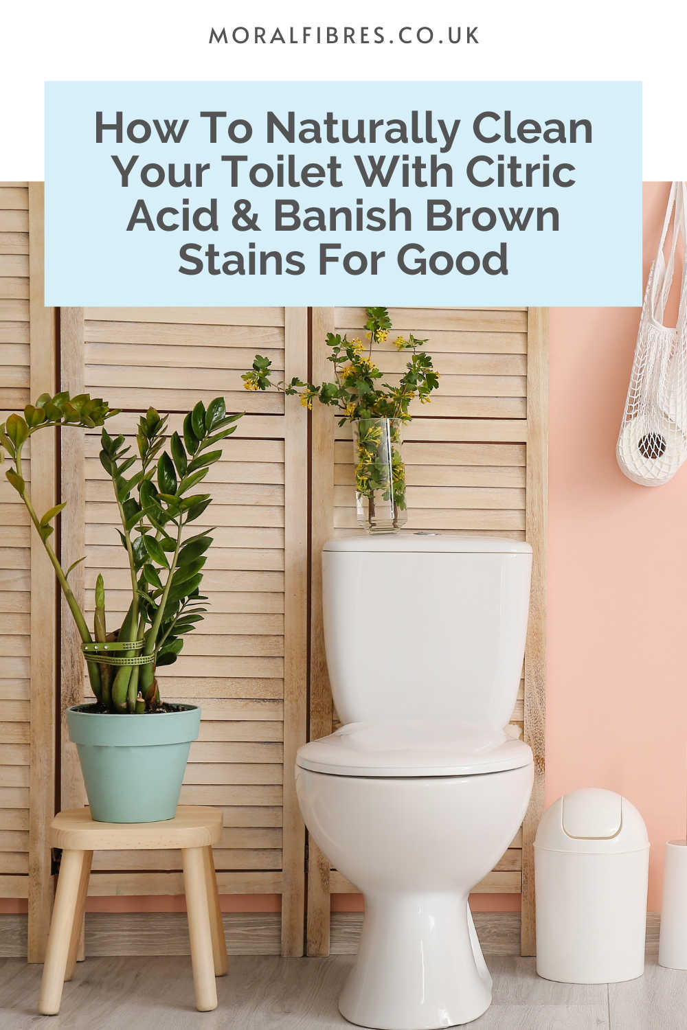 How To Clean Your Toilet With Citric Acid To Remove Brown Stains