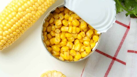 An opened tin of sweetcorn next to three fresh cobs of corn, and a red and white striped cloth.