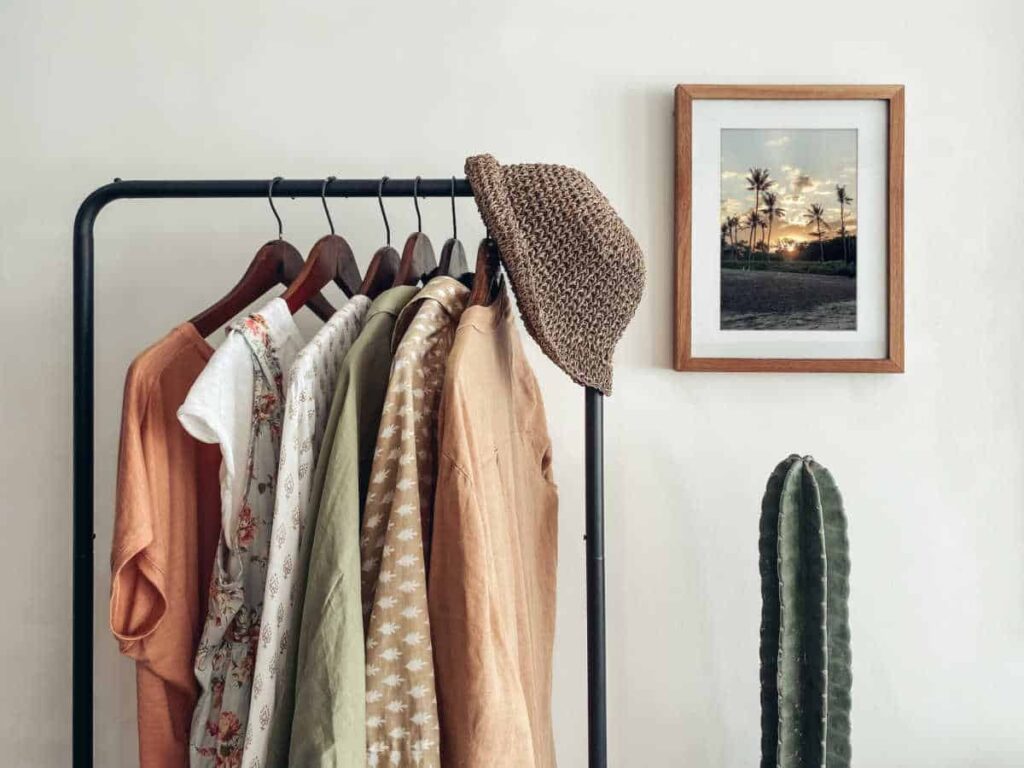 clothes rail with cactus