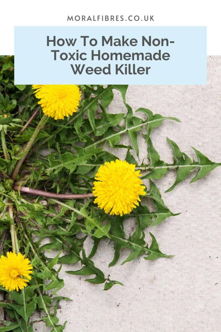 Easy Homemade Weed Killer Recipe - Moral Fibres