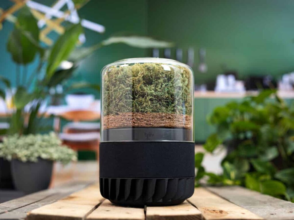 The Briiv Pro air filter surrounded by plants