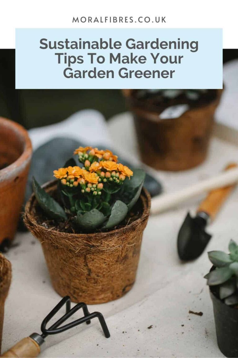 13 Sustainable Gardening Tips To Make Your Garden Greener - Moral Fibres