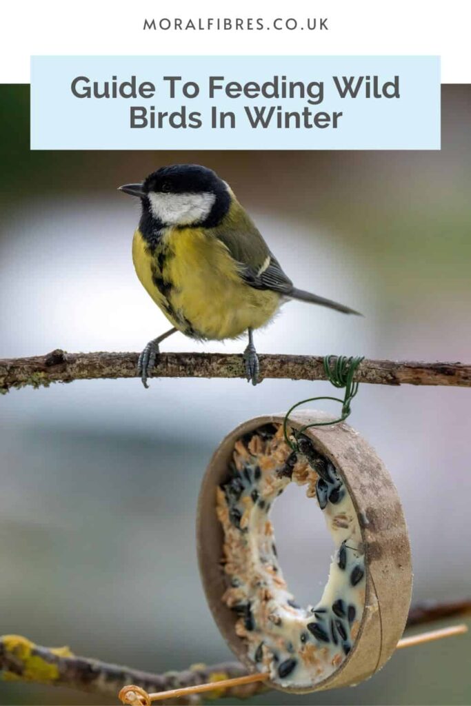 What to Feed UK Birds In Winter (And What Not To) - Moral Fibres